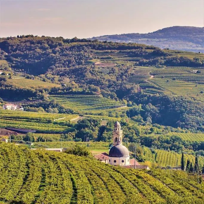 Σπίτι διακοπών Apartments Valpolicella: Residenza Olivo Marano di Valpolicella
